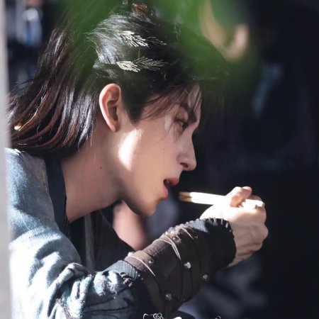 Cuo Shi Lu ()