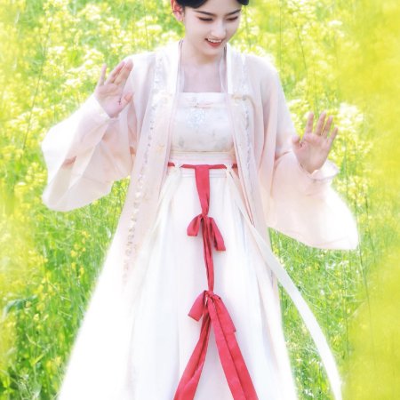 The Palace Stewardess ()