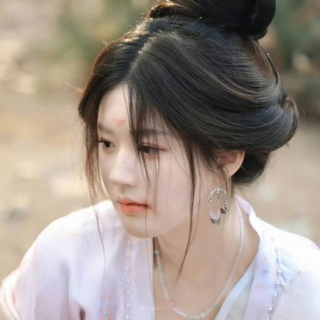 Zhao Lu Si