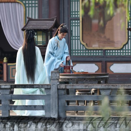 Ting Yin ()