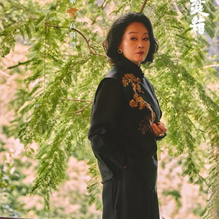 Heidi Wang