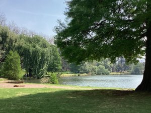 ihavealotofthingstosay