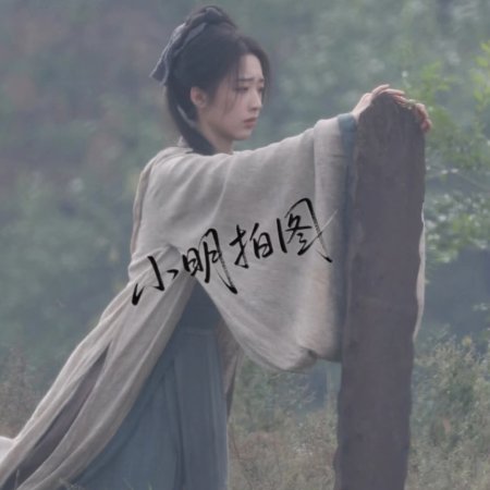 The Road to Splendor ()