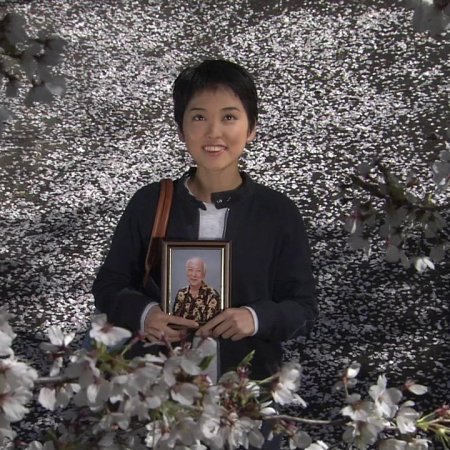 Sakura (2002)