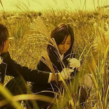 Nobuta wo Produce (2005)