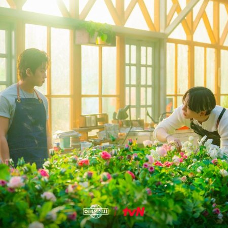 Typhoon Family (2025)