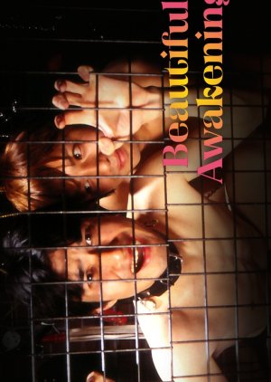 Beautiful Awakening (2005) poster