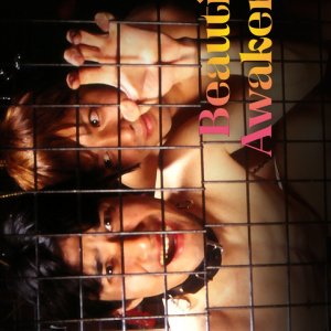 Beautiful Awakening (2005)