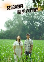 The CEO's Hometown Battle Chinese Drama photo