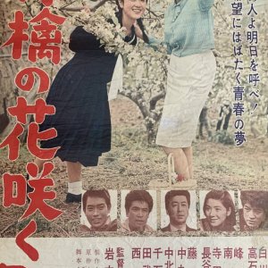 Ringo no Hanasaku Machi (1963)