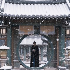 Glory in Shadows Chinese Drama photo