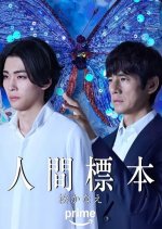 Human Specimens Japanese Drama(2025) photo