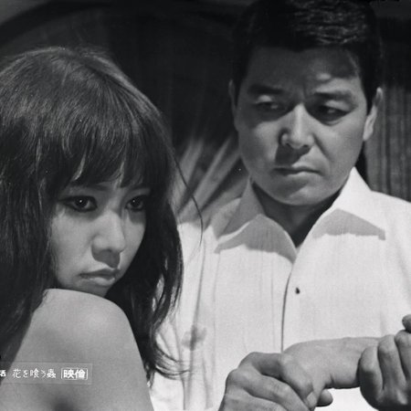 Burning Nature (1967)