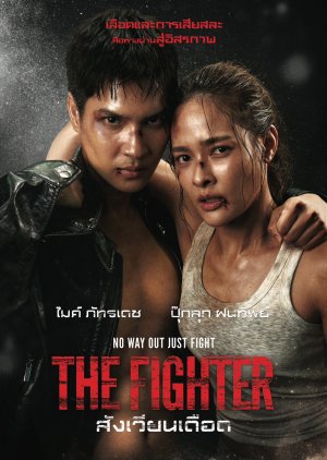 The Fighter (2026) poster
