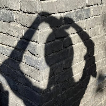 The Lament of Autumn ()