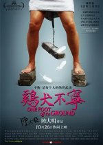 One Foot off the Ground Chinese Movie(2006) photo