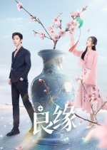 Fateful Love Chinese Drama(2024) photo