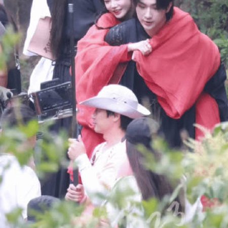 Blossom in Darkness ()