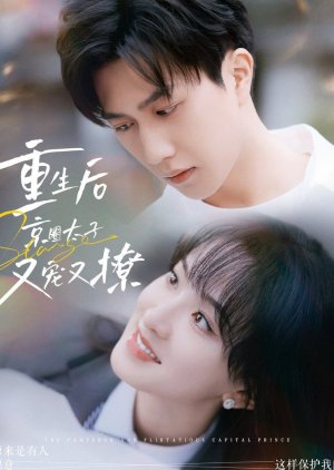 The Pampered and Flirtatious Capital Prince (2024) poster