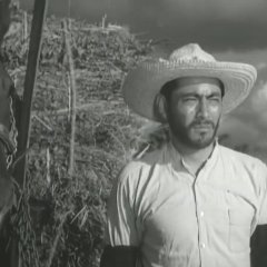 Conduct Report on Professor Ishinaka Japanese Movie photo