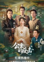 The Princess's Counterattack Chinese Drama(2025) photo