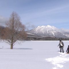 Tree of Heaven Korean Drama photo