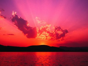 Sunlight