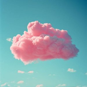 The Pink Voyager