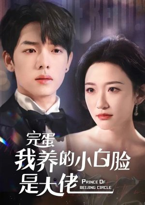 Prince of Beijing Circle (2024) poster