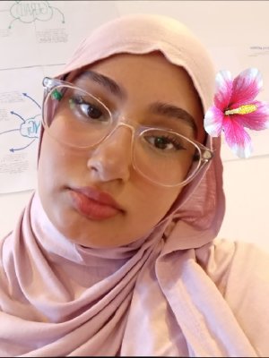 hearts4laiqah