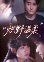 Chi Ye Wen Rou Chinese Drama(2025) photo