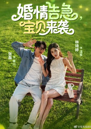 Hun Qing Gao Ji, Bao Bei Lai Xi (2025) poster