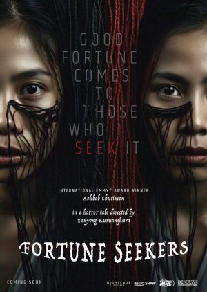 Fortune Seekers poster