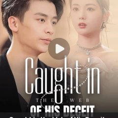 Caught up in His Lies Chinese Drama(2025) photo