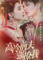 My Cold Ex-Husband Flirts with Me Chinese Drama photo