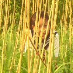 Seventh Anniversary Japanese Movie photo