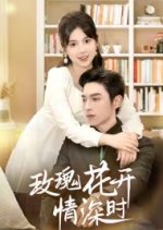 Mei Gui Hua Kai Qing Shen Shi Chinese Drama photo