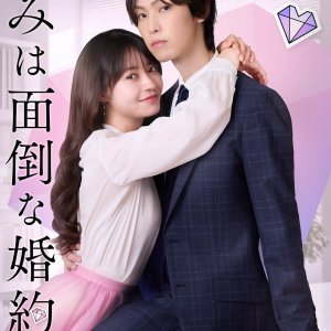 Kimi wa Mendona Konyakusha (2025)