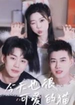 Jin Tian Ye Hen Ke Ai De Mao Chinese Drama photo