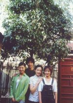 My Family Tree Chinese Drama photo