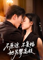 Bu Yuan Liang Bu Fu Hun Ta Ling Pan Gao Zhi Chinese Drama(2025) photo