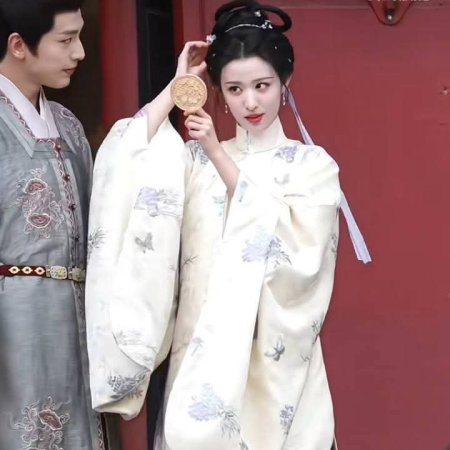 A Ming Dynasty Adventure ()