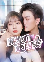 Substitute Chinese Drama(2024) photo