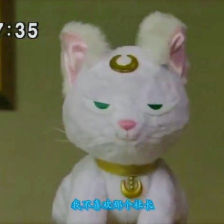 Pretty Guardian Sailor Moon: Special Act (2004)