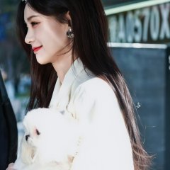 The Vanishing Beauty Chinese Drama photo