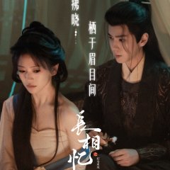 Phoenix's Homecoming Chinese Drama photo