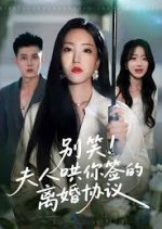 Bie Xiao! Fu Ren Hong Ni Qian De Li Hun Xie Yi Chinese Drama(2025) photo