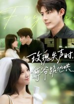 Mei Gui Shi Sheng Shi, Fu Ye Gui Di Hong Chinese Drama(2025) photo