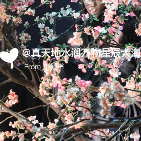 Tian Du Yi Wen Lu ()