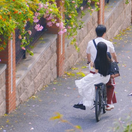 The Genius of Girlfriend (2026)